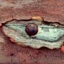 Reflex'82 02 Armin Gutruf